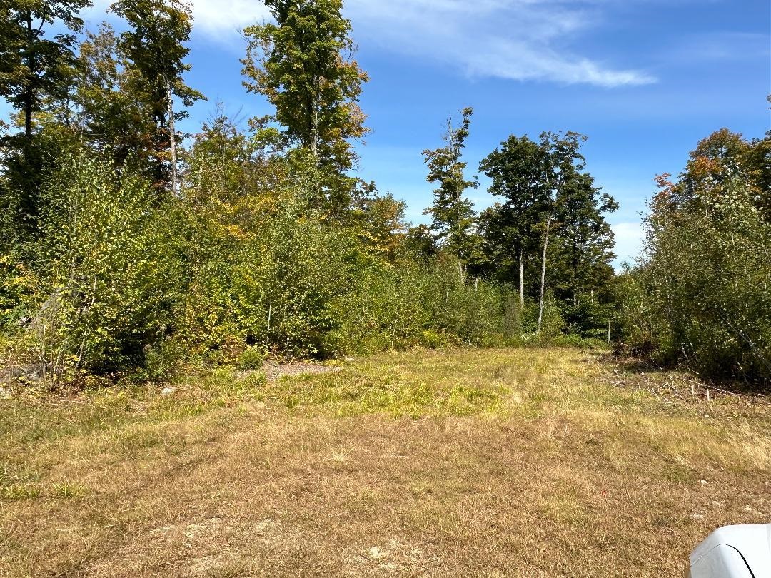 0 Brookview Lane Wolcott, VT 05680 - Photo 10 of 47