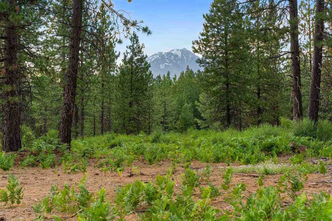 Lot A Timber Country Ranch Road McCloud, CA 96057 - Photo 1 of 18 Gallery Image 1