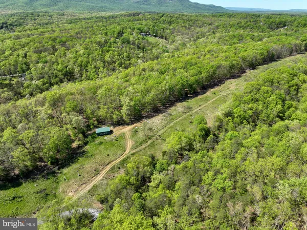 a view of a green field with lots of bushes