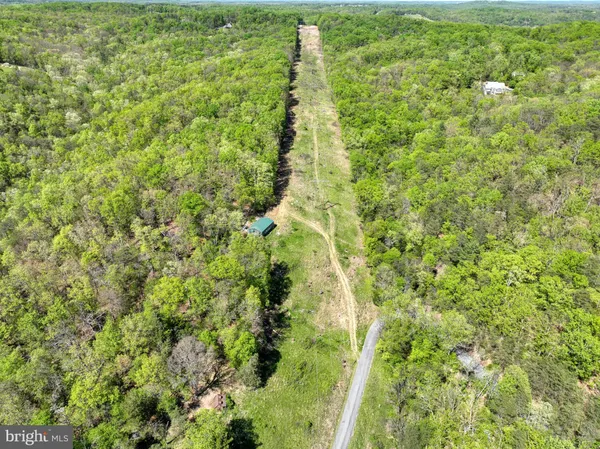 a view of a yard with plants