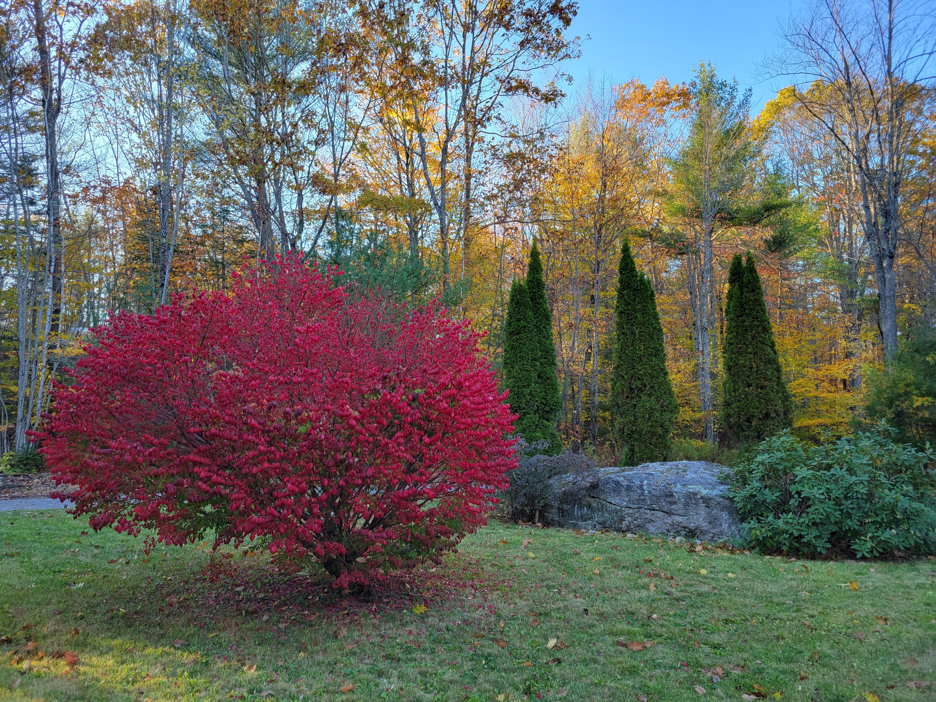 120 No Name Pond Road Lewiston, ME 04240 - Photo 18 of 28 Front Yard