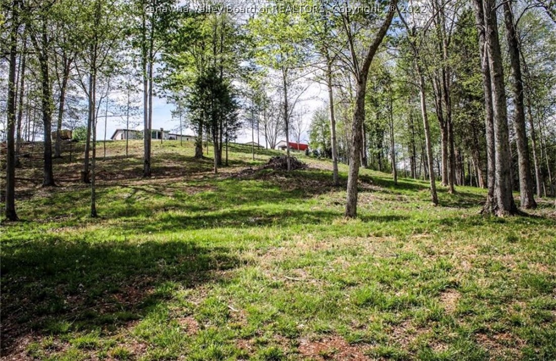 682 Midway Acres Drive Ripley, WV 25271 - Photo 3 of 21 Gallery Image 3