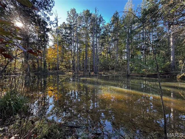 $155,000 | 902 Ripley 160e-8, Doniphan, MO 63935