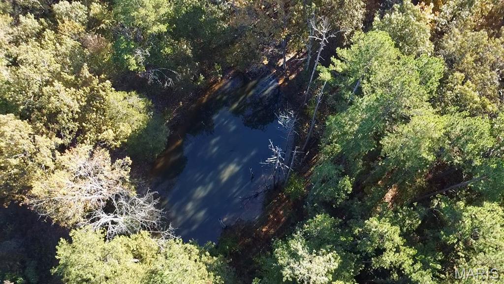 902 Ripley 160e-8 Doniphan, MO 63935 - Photo 2 of 27