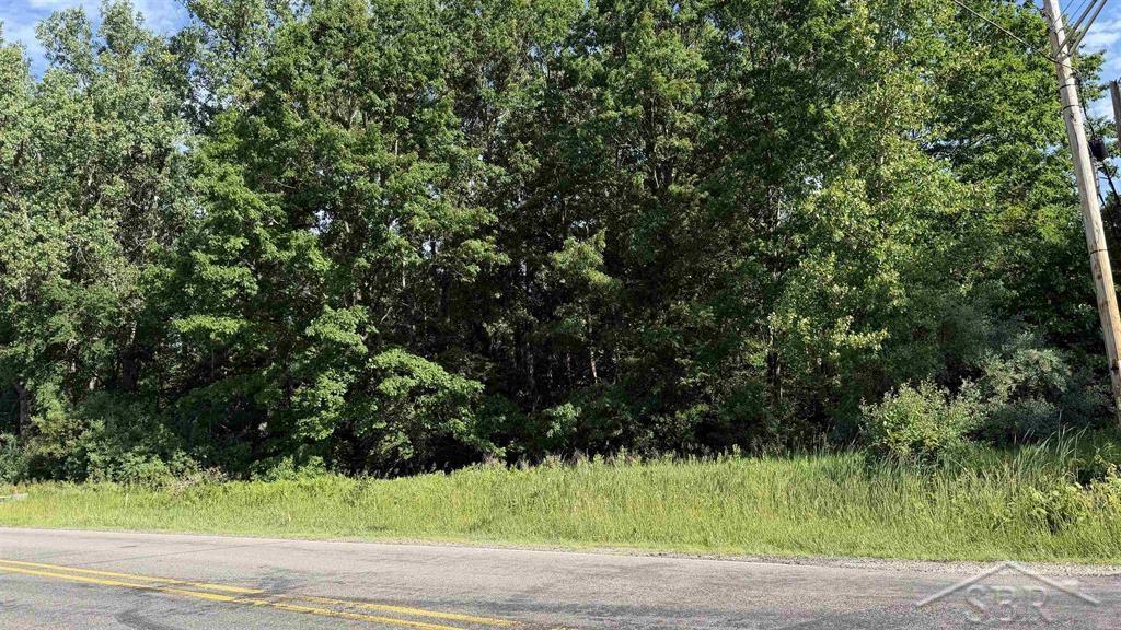 Vl East Gordonville Road Midland, MI 48640 - Photo 2 of 6