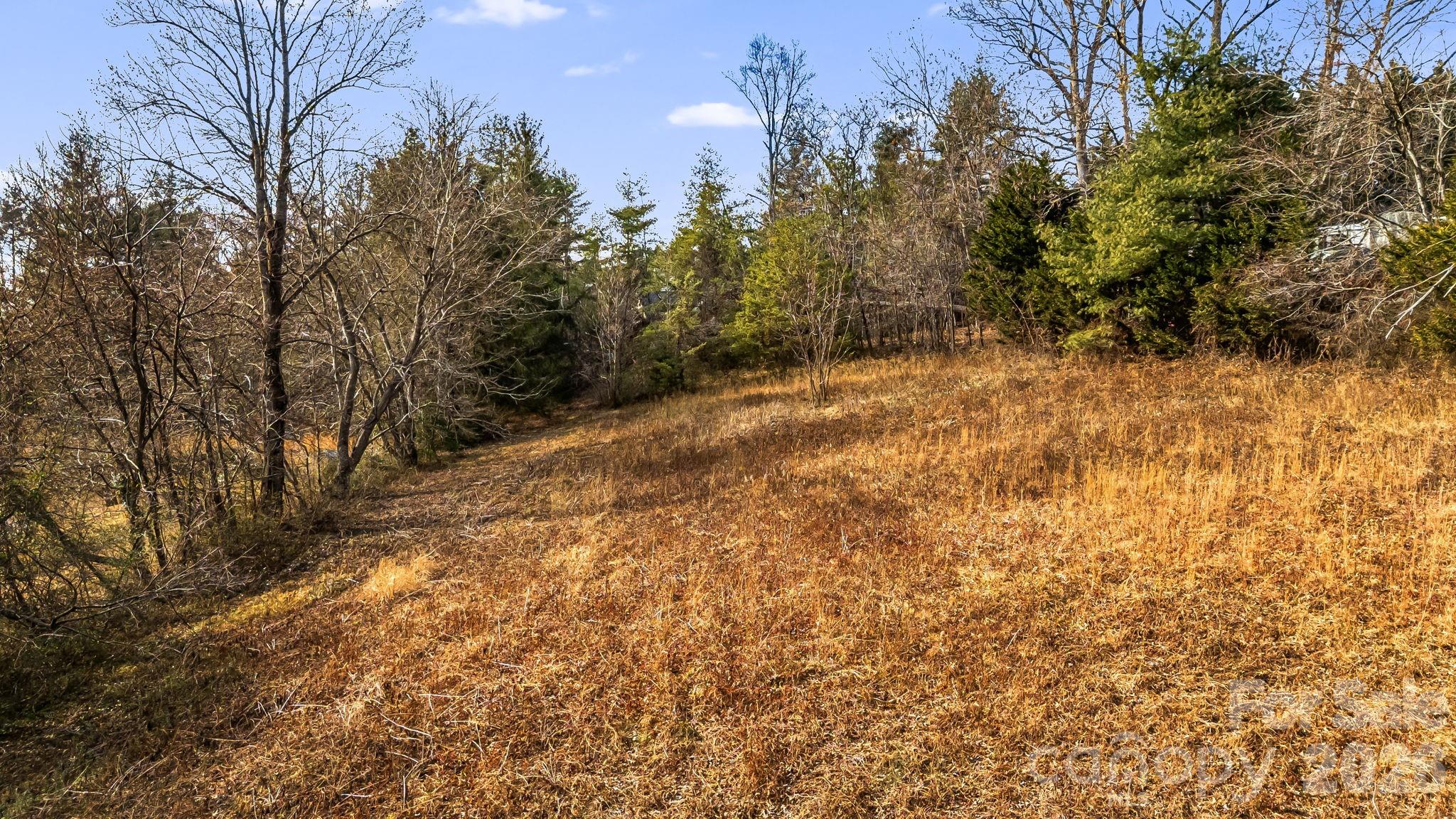 1236 Upper Brush Creek Road Fairview, NC 28730 - Photo 4 of 48 a view of a yard with a tree