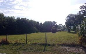 a view of an outdoor space and a yard