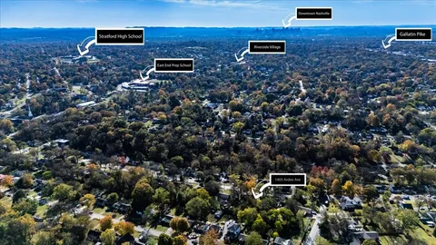 a view of a bunch of trees