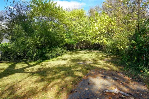 a view of a yard with plants and large trees
