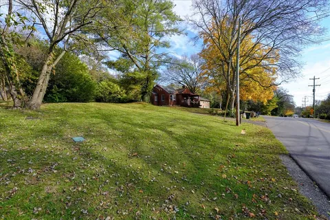 a view of a park with large trees