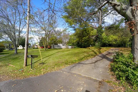 a view of a park with large trees