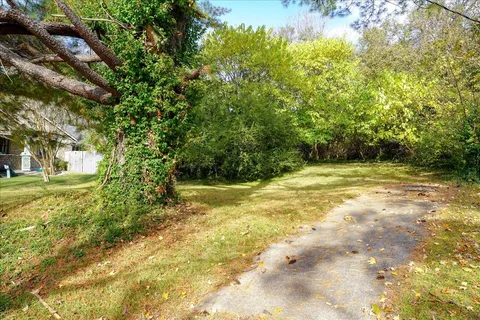 a view of a yard with a tree