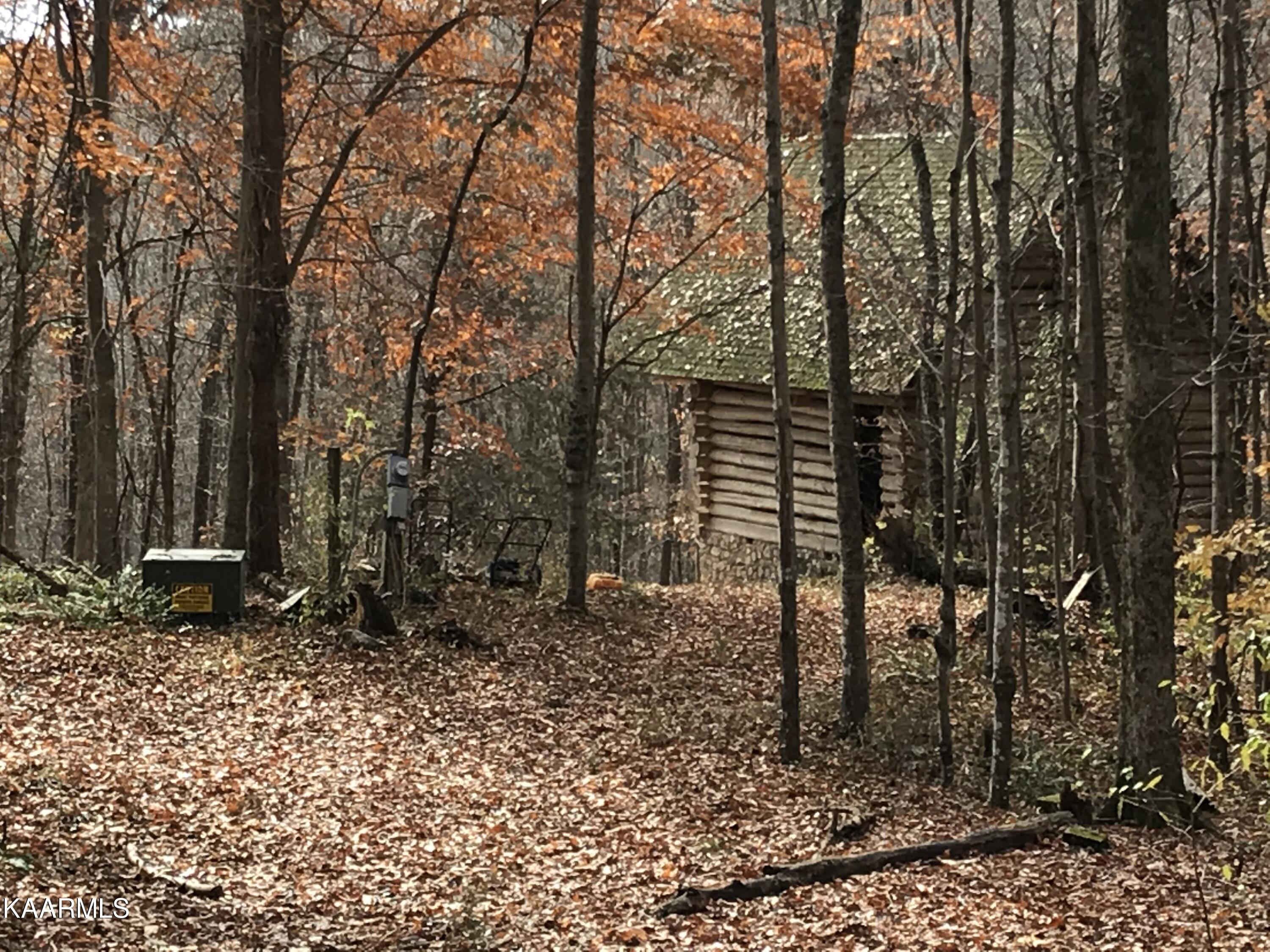 Loyston Point Road Andersonville, TN 37705 - Photo 1 of 28 IMG-2160