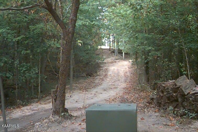 Loyston Point Road Andersonville, TN 37705 - Photo 2 of 28 driveway
