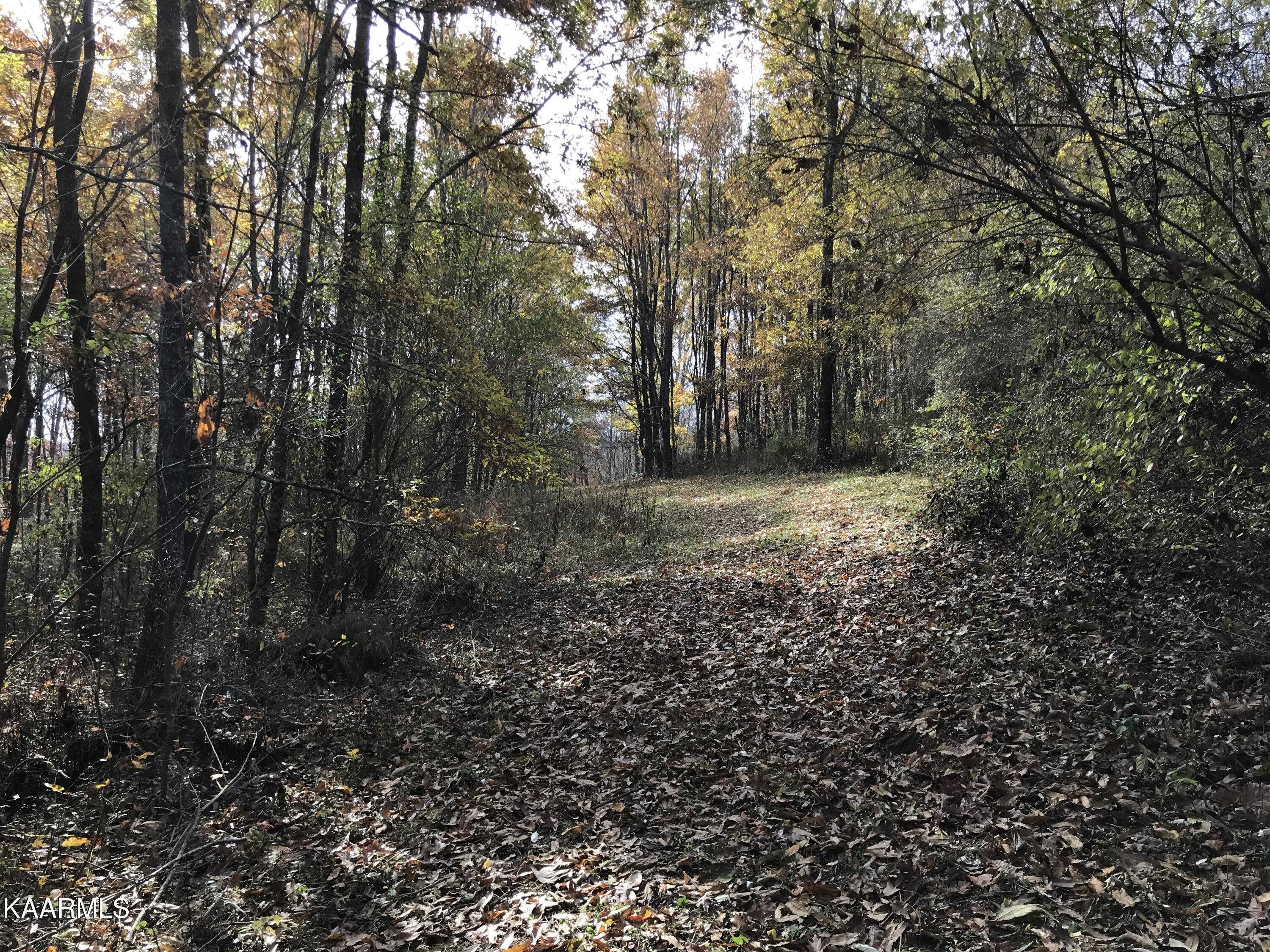 Loyston Point Road Andersonville, TN 37705 - Photo 11 of 28 IMG-2145
