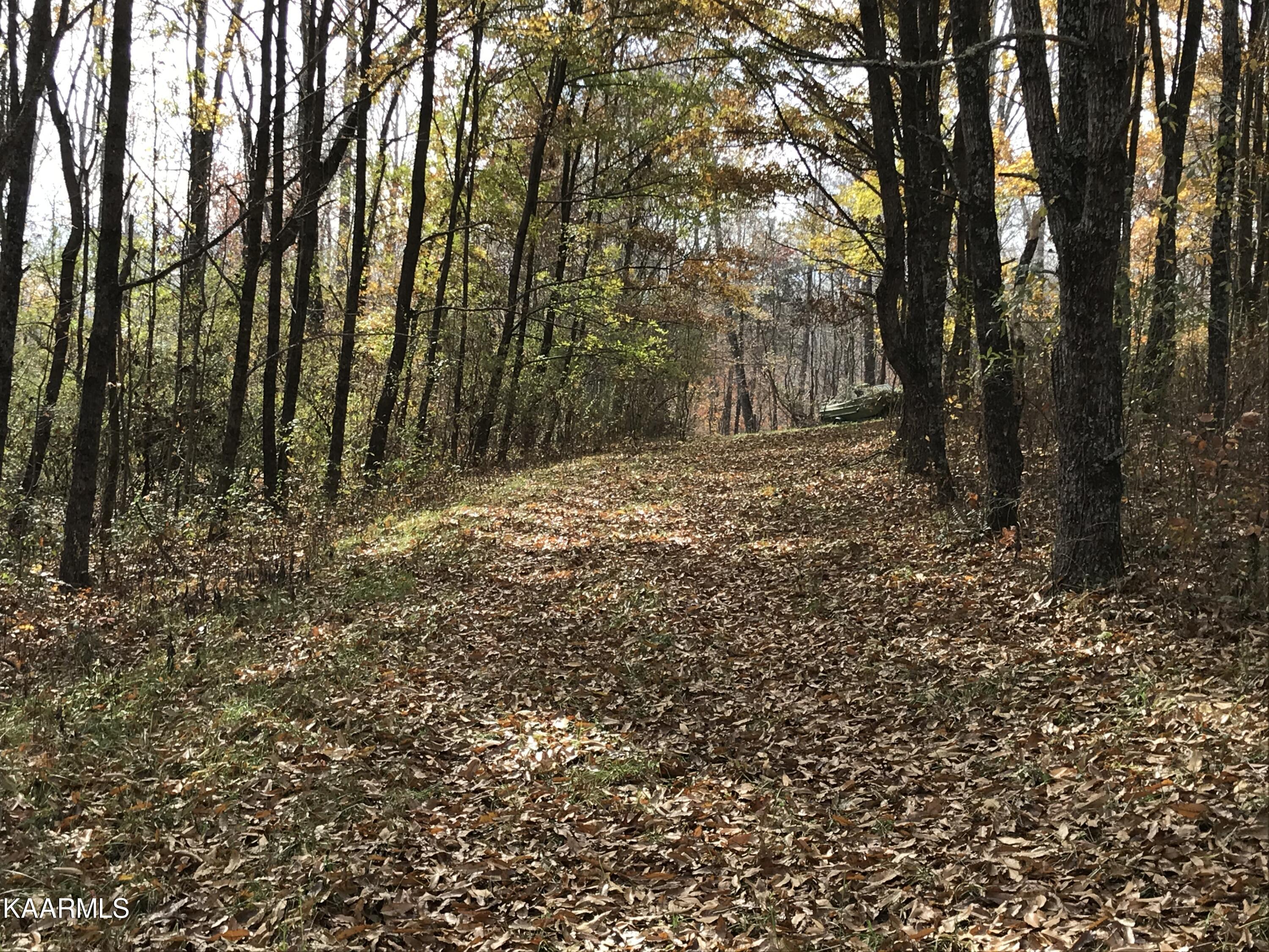Loyston Point Road Andersonville, TN 37705 - Photo 12 of 28 IMG-2147