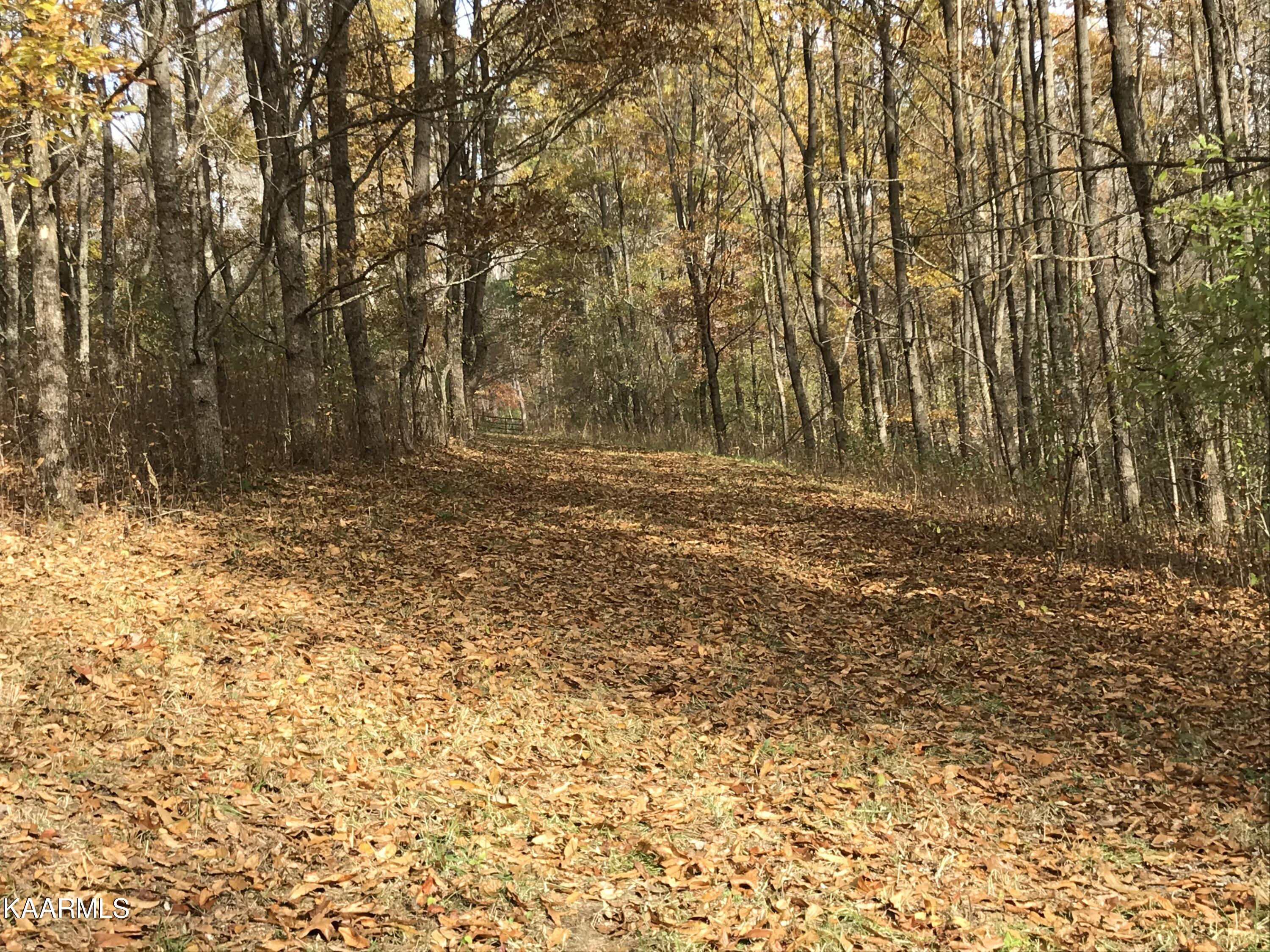 Loyston Point Road Andersonville, TN 37705 - Photo 14 of 28 IMG-2152