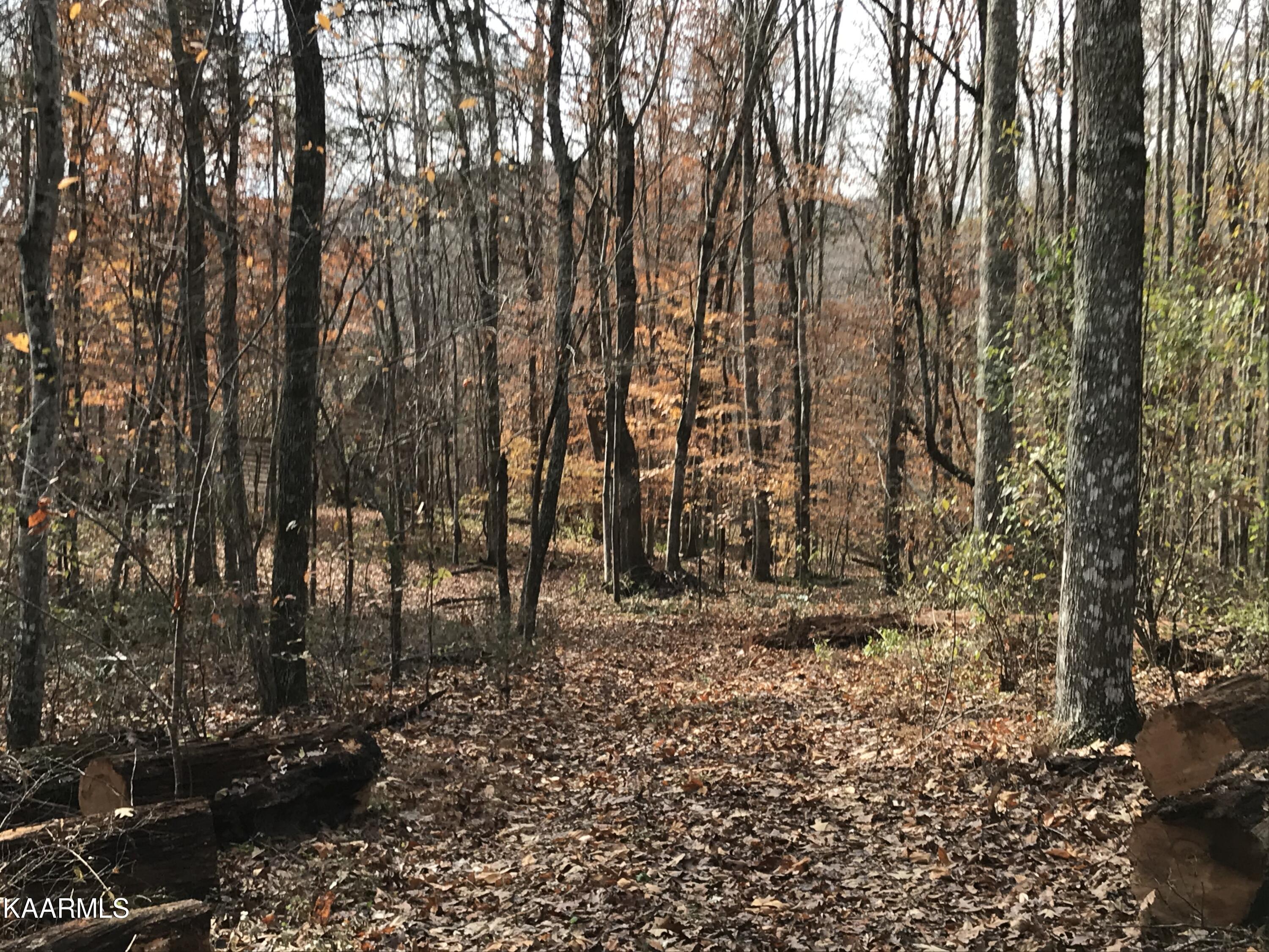 Loyston Point Road Andersonville, TN 37705 - Photo 16 of 28 IMG-2155 (1)