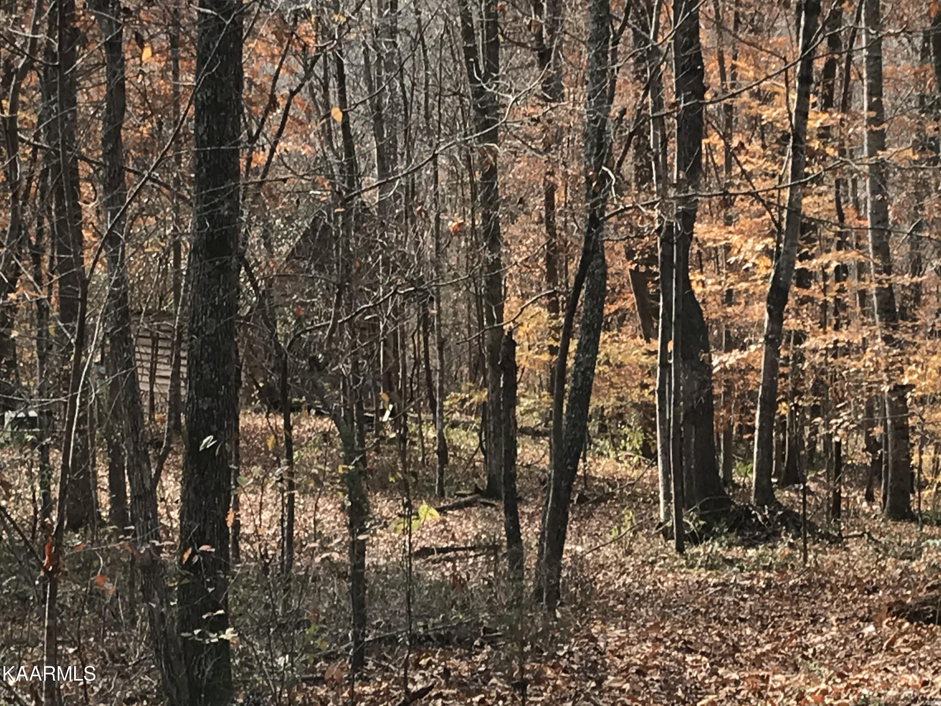 Loyston Point Road Andersonville, TN 37705 - Photo 17 of 28 IMG-2156