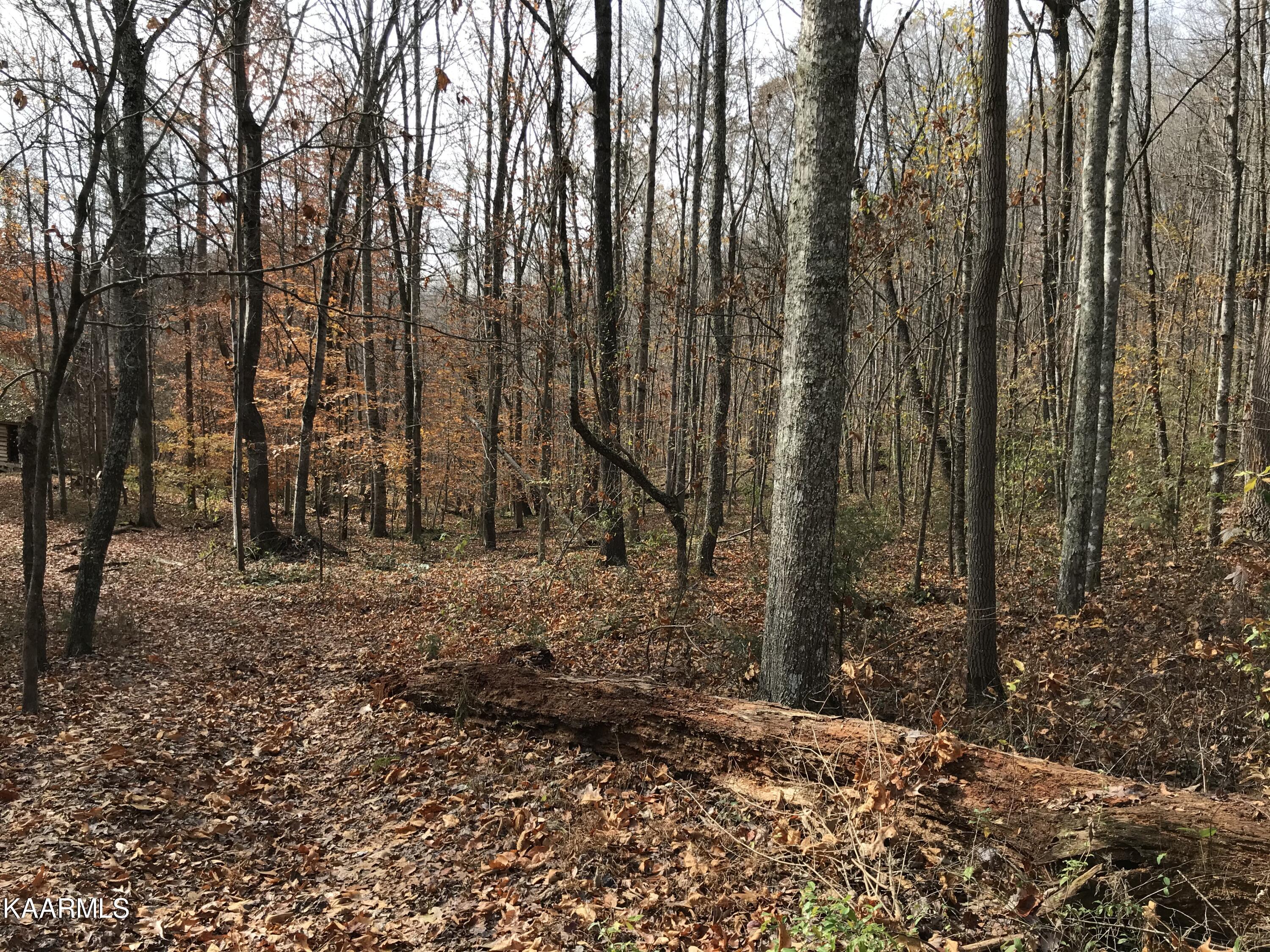 Loyston Point Road Andersonville, TN 37705 - Photo 18 of 28 IMG-2158