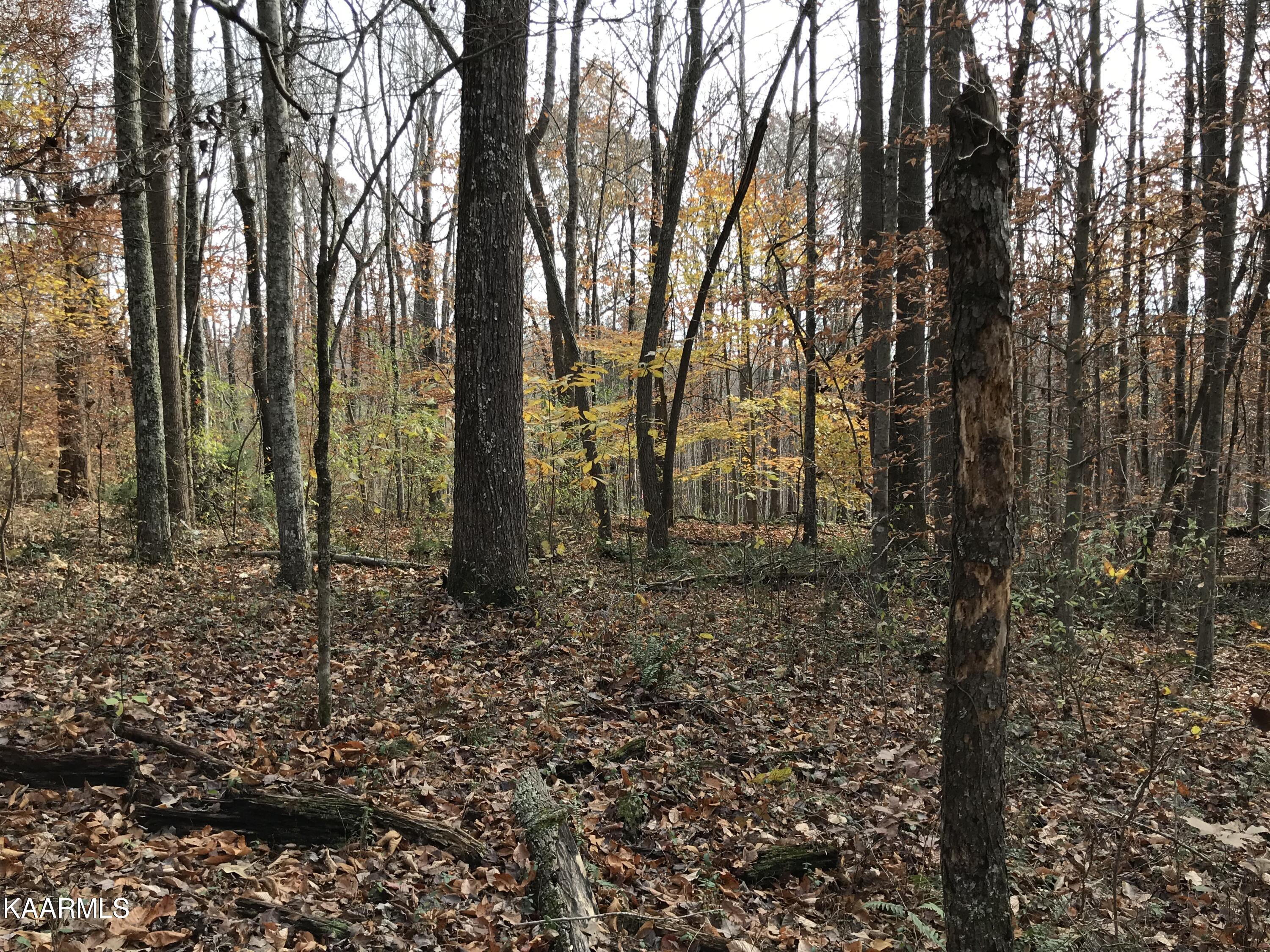 Loyston Point Road Andersonville, TN 37705 - Photo 24 of 28 IMG-2164