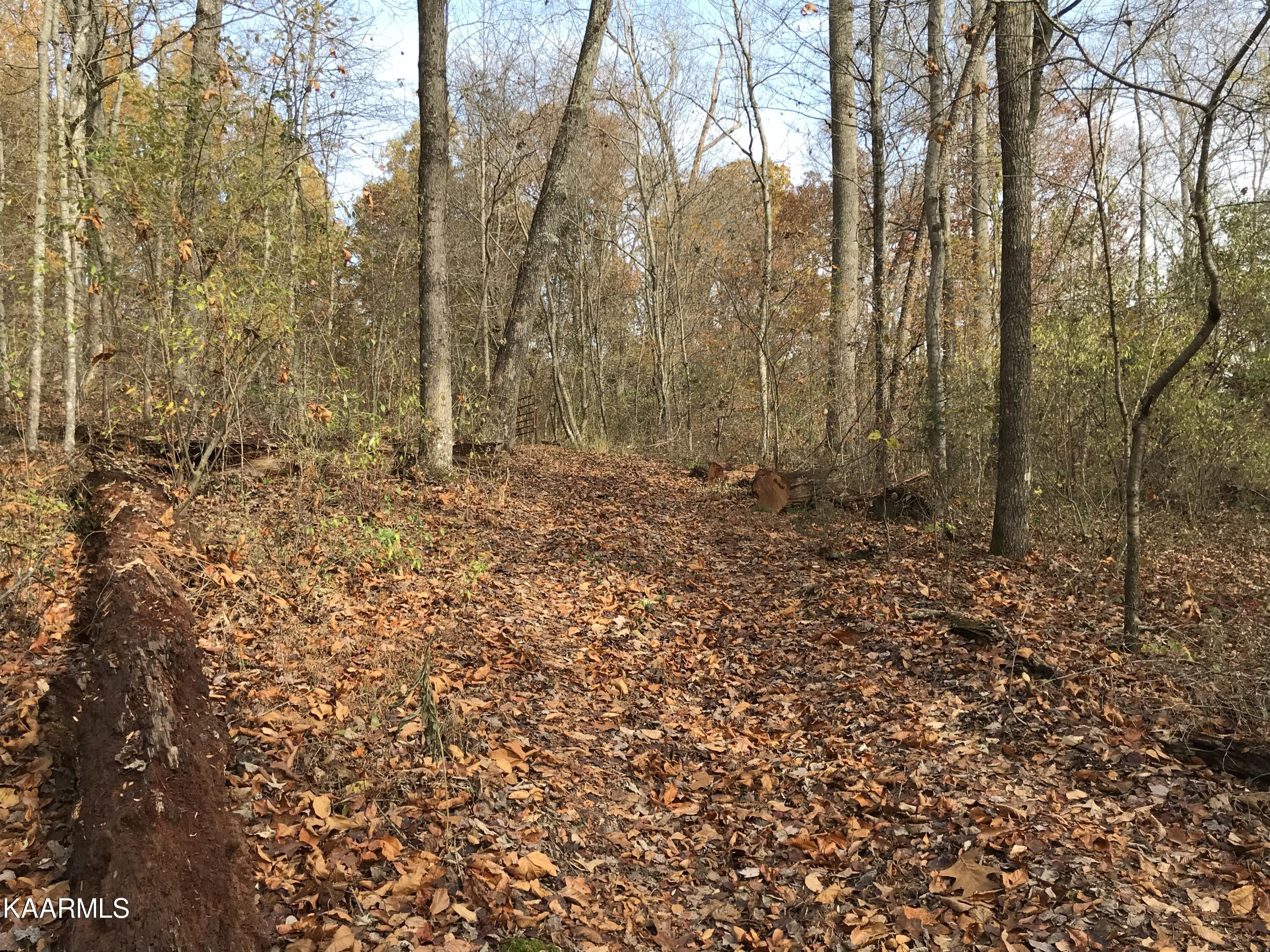 Loyston Point Road Andersonville, TN 37705 - Photo 25 of 28 IMG-2167