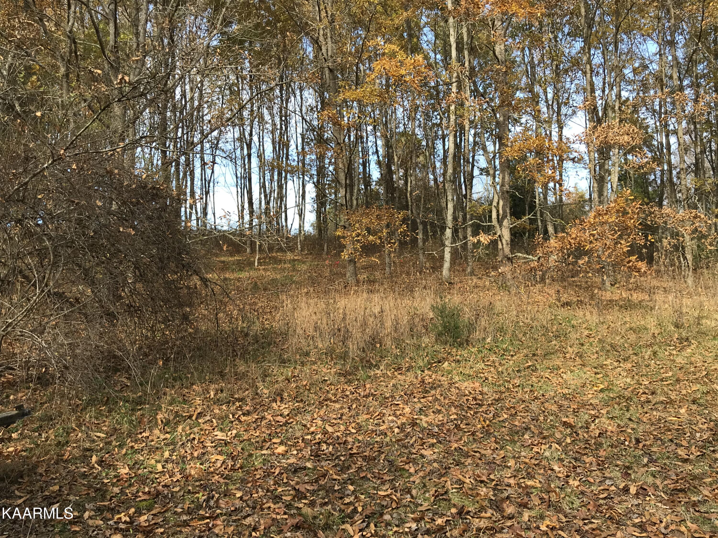 Loyston Point Road Andersonville, TN 37705 - Photo 26 of 28 IMG-2169