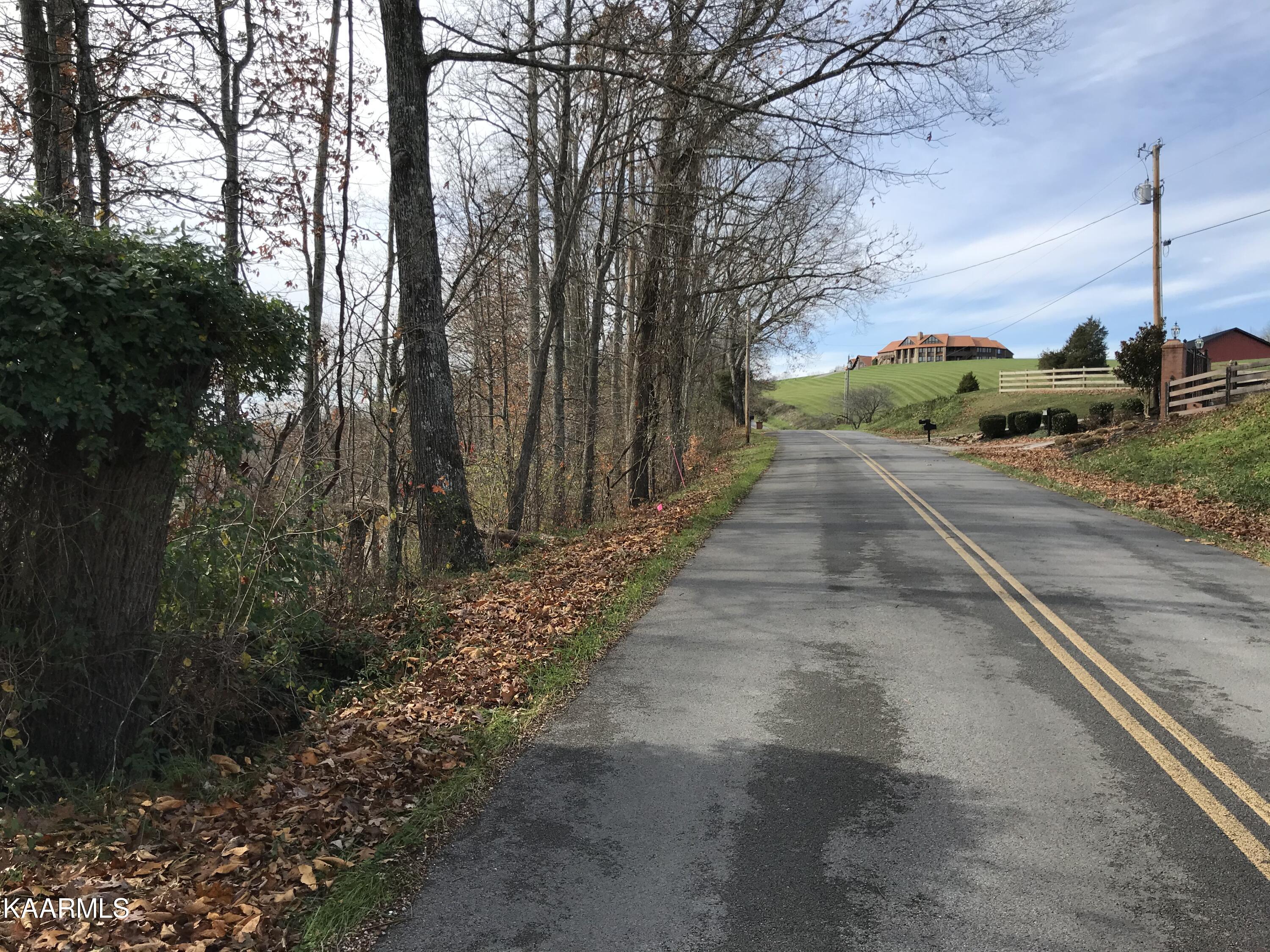 Loyston Point Road Andersonville, TN 37705 - Photo 5 of 28 IMG-2131