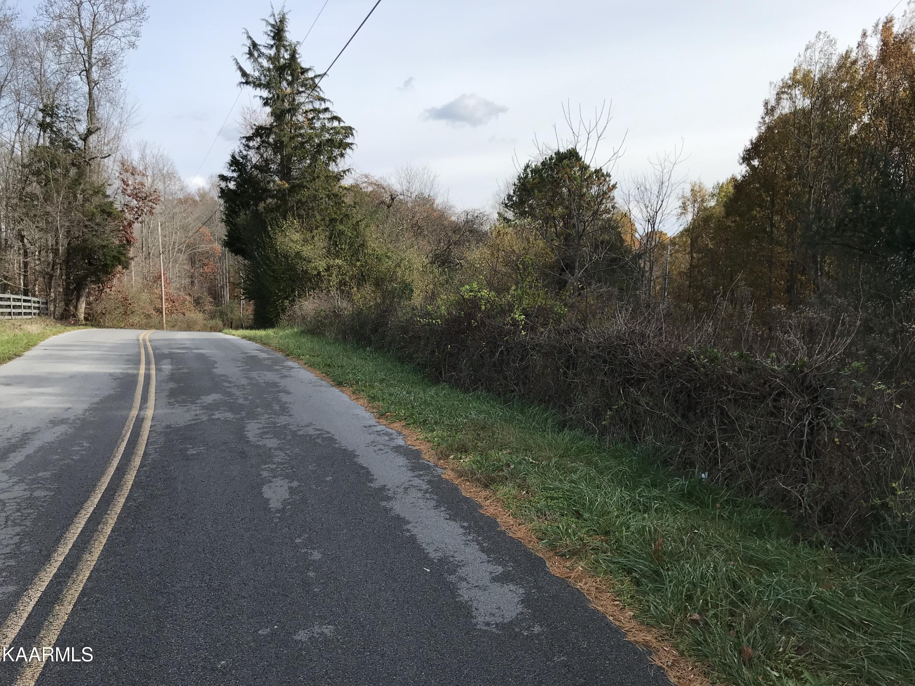 Loyston Point Road Andersonville, TN 37705 - Photo 6 of 28 IMG-2135