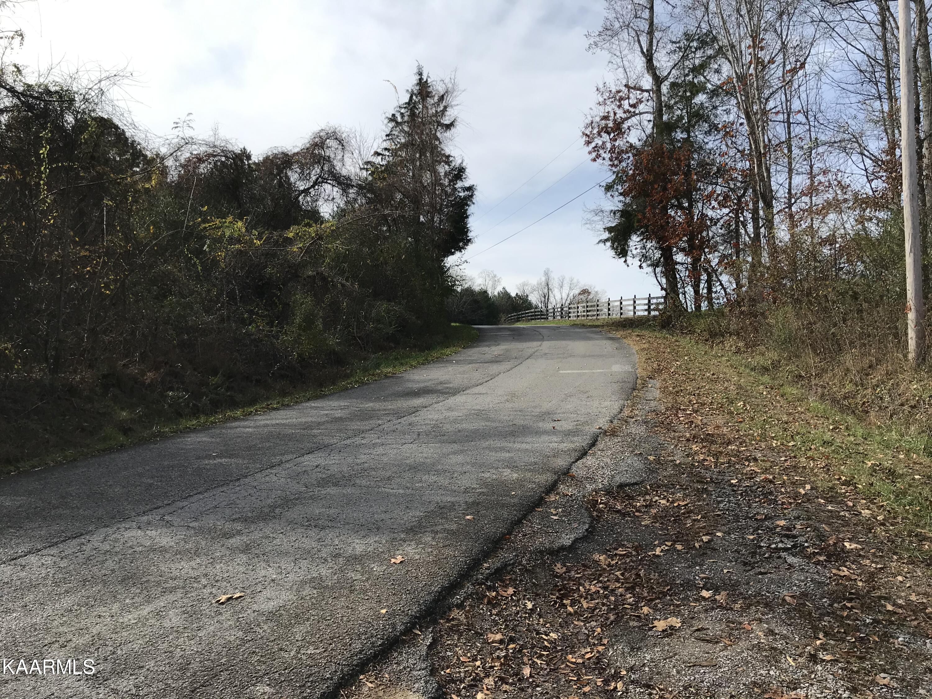 Loyston Point Road Andersonville, TN 37705 - Photo 7 of 28 IMG-2136