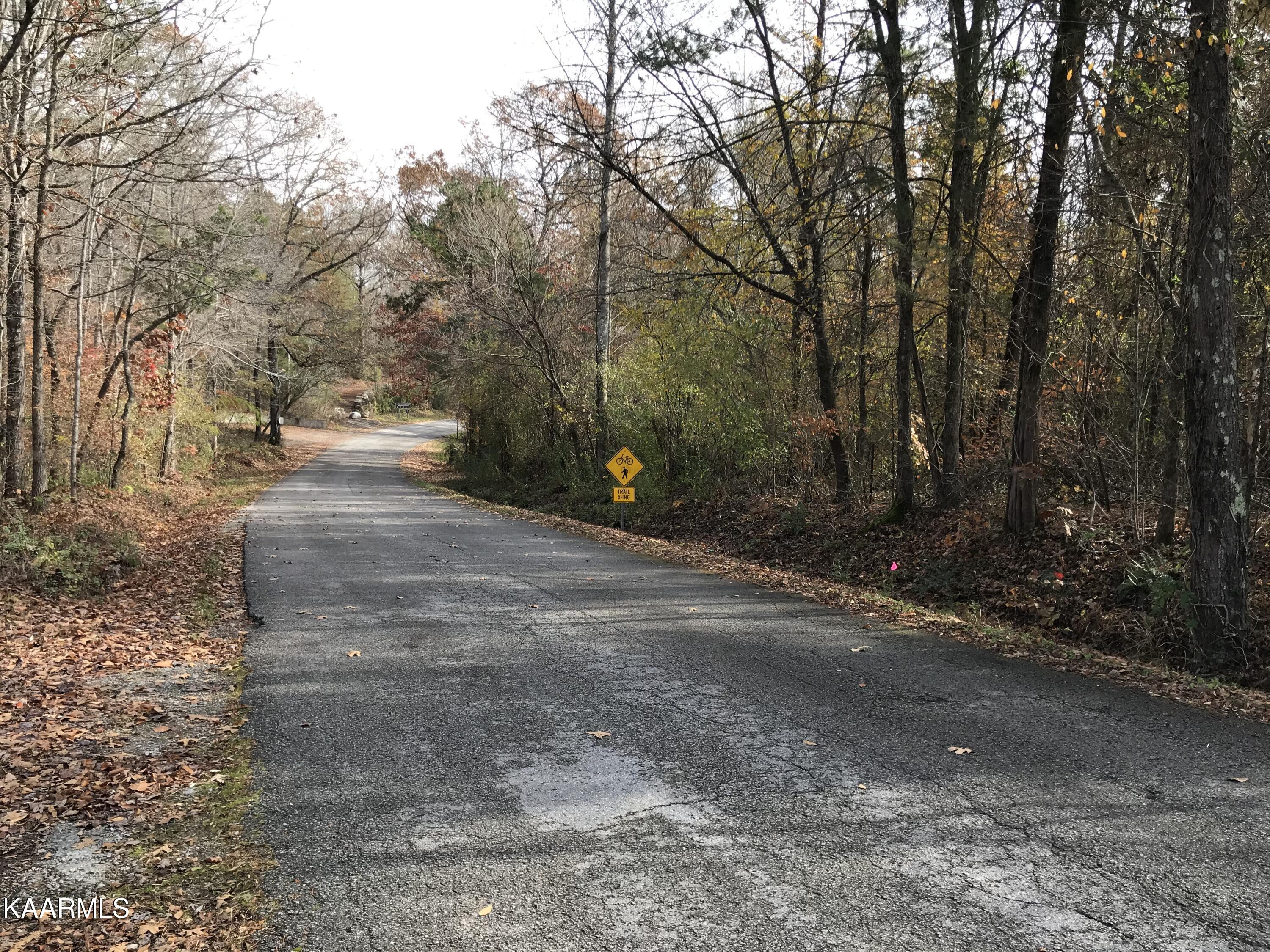Loyston Point Road Andersonville, TN 37705 - Photo 8 of 28 IMG-2138
