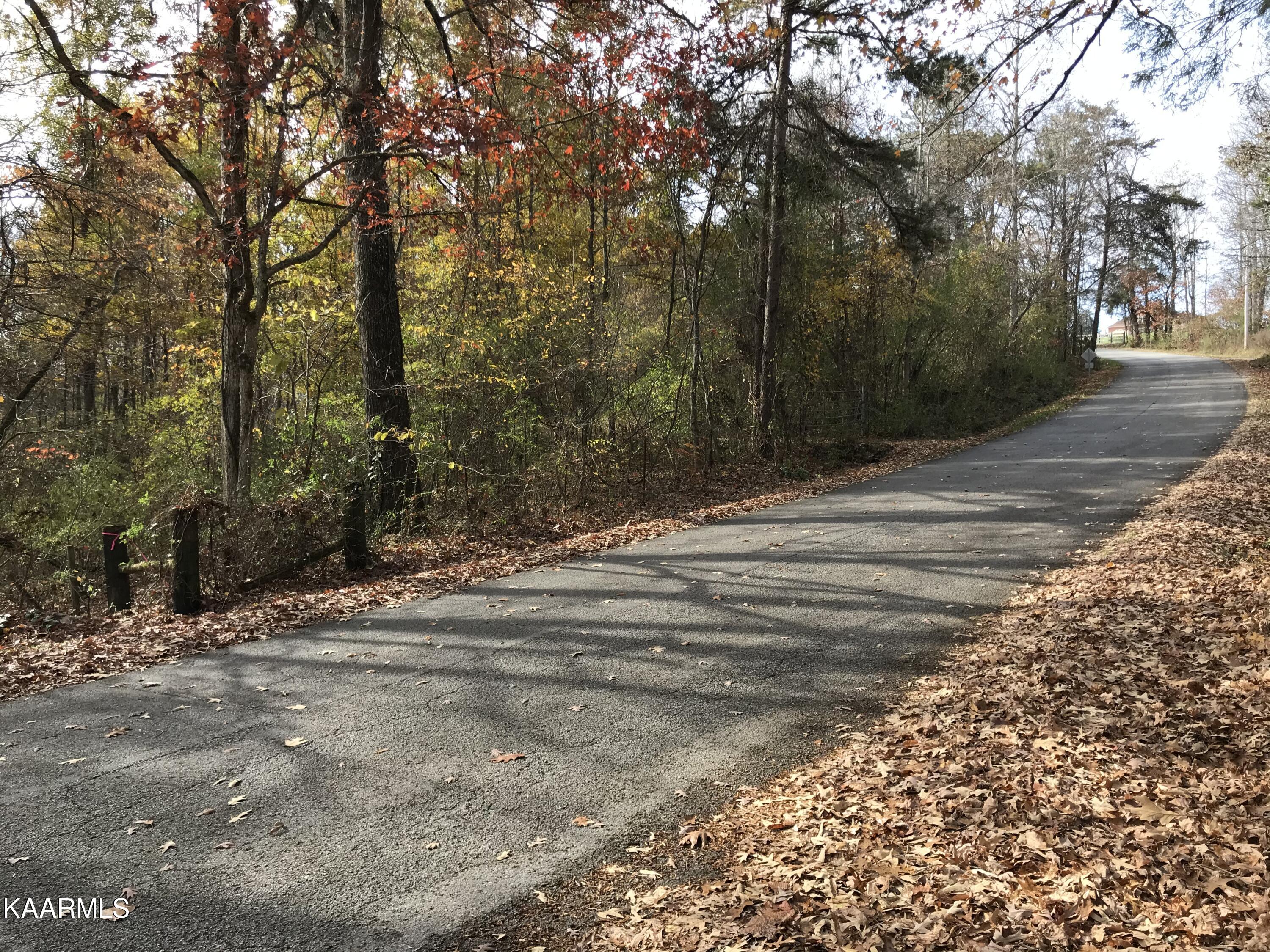 Loyston Point Road Andersonville, TN 37705 - Photo 9 of 28 IMG-2140