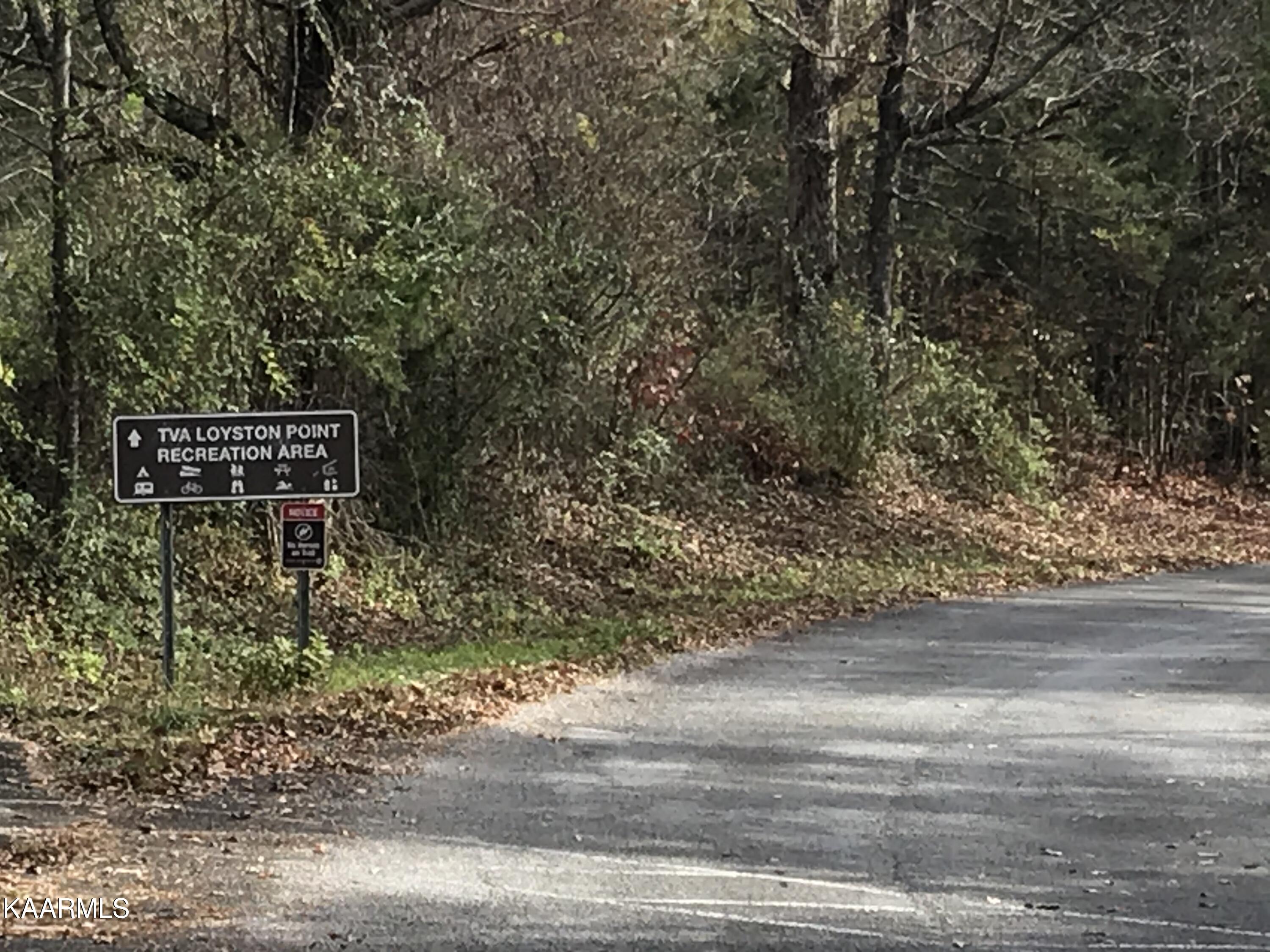 Loyston Point Road Andersonville, TN 37705 - Photo 10 of 28 IMG-2142