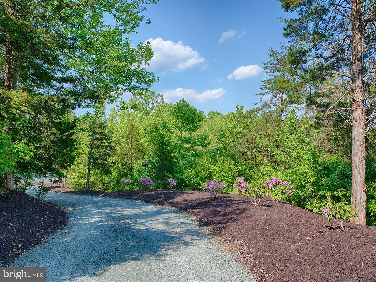 2046 Rock Quarry Road Louisa, VA 23093 - Photo 8 of 48 Gallery Image 8