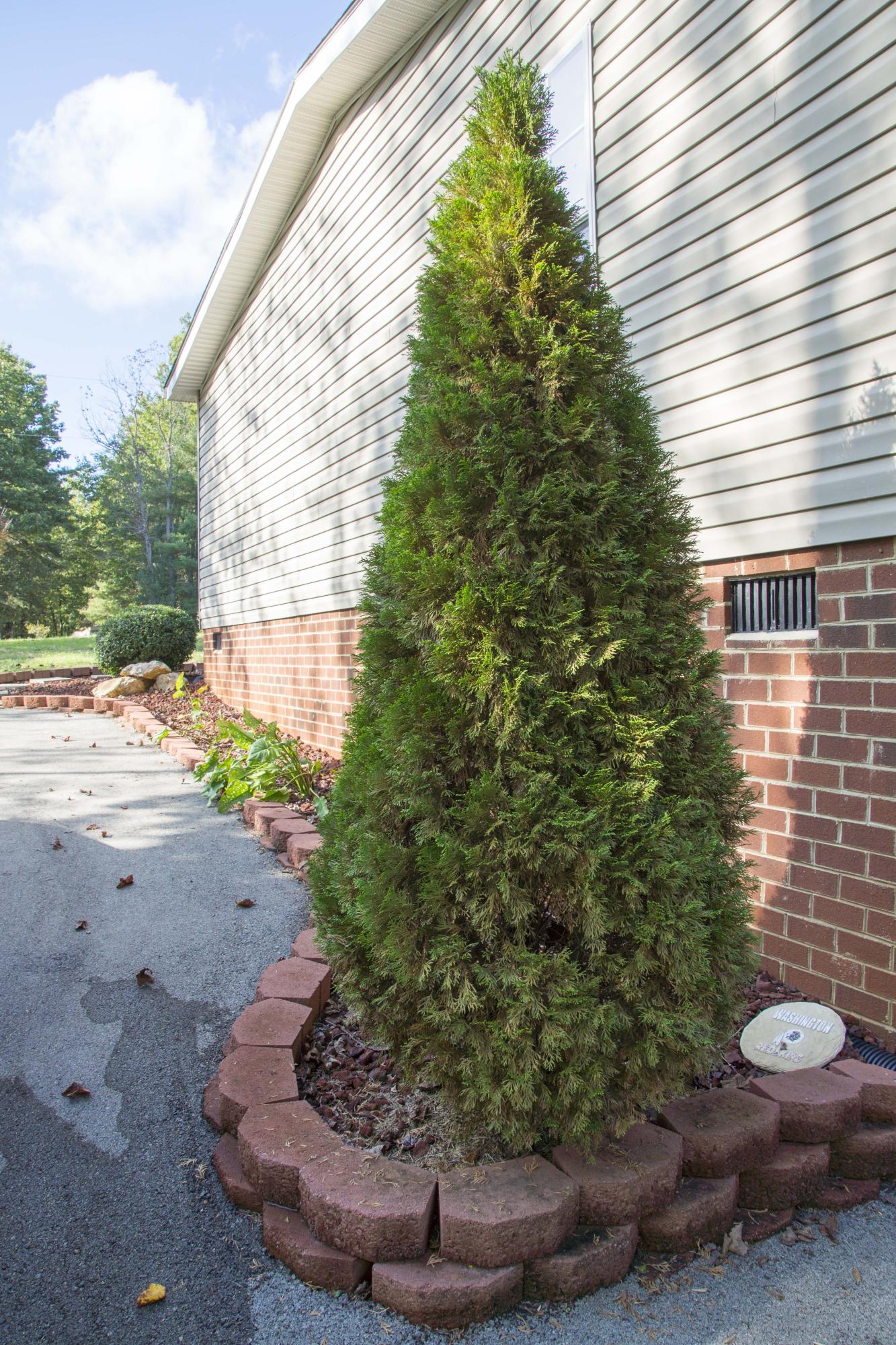 200 Factory Hill Road Callaway, VA 24067 - Photo 16 of 58 200FactoryHill_15
