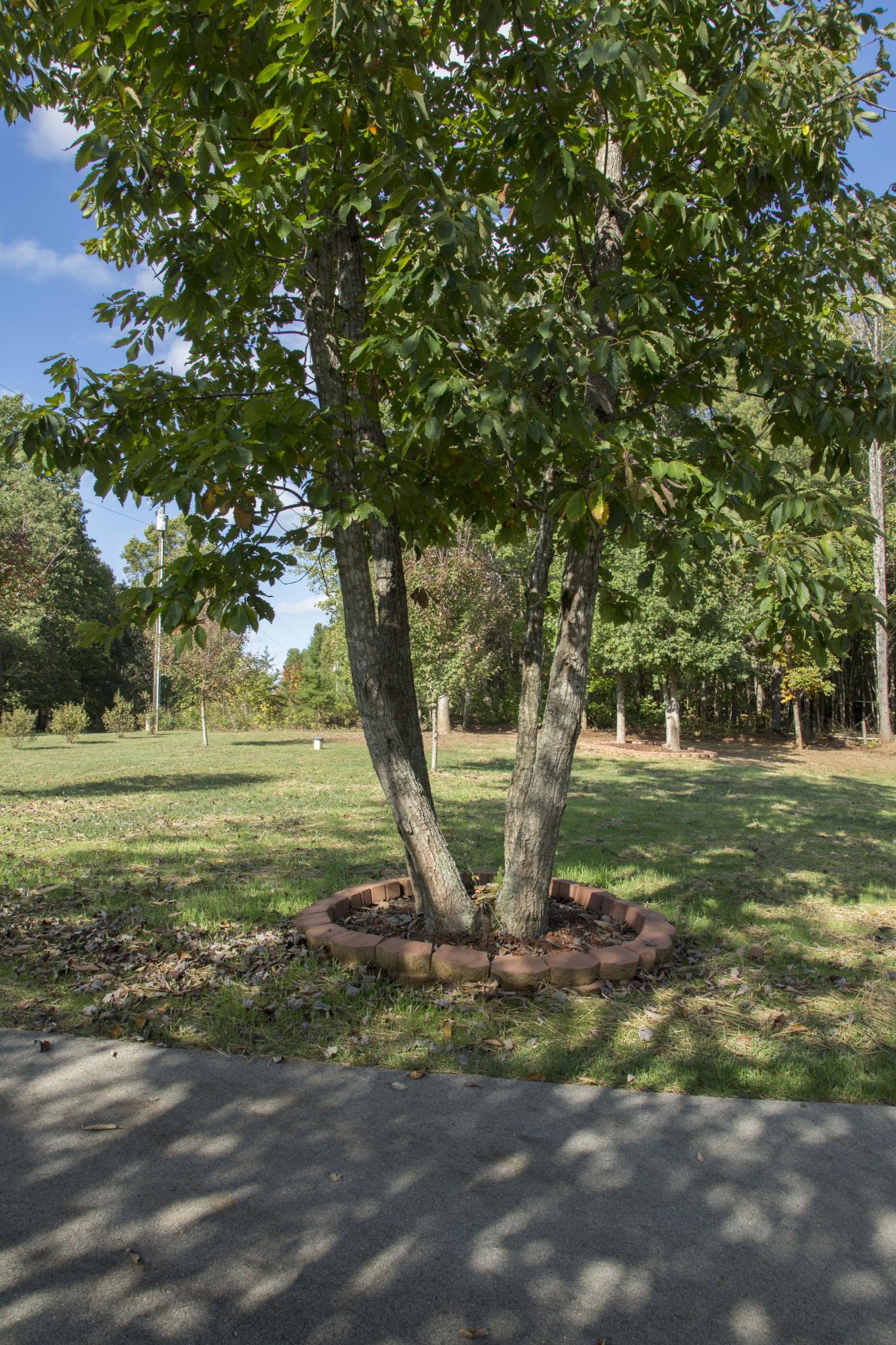 200 Factory Hill Road Callaway, VA 24067 - Photo 20 of 58 200FactoryHill_19