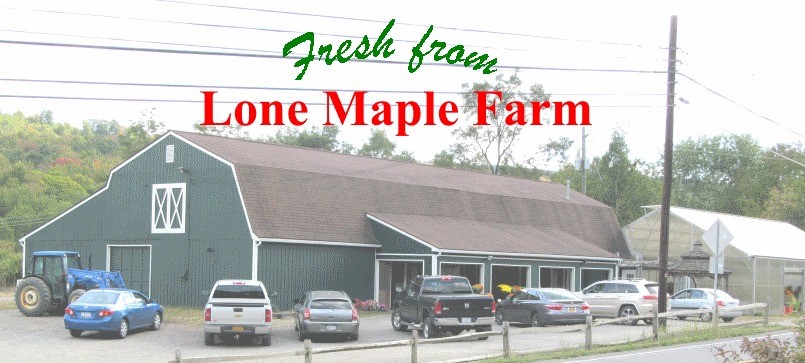 2001 Hawleyton Road Binghamton, NY 13903 - Photo 1 of 50