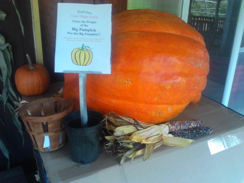 2001 Hawleyton Road Binghamton, NY 13903 - Photo 13 of 50