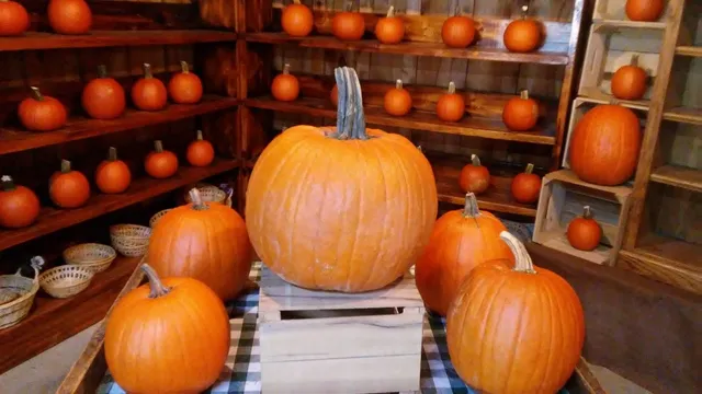 $3,080 | 2001 Hawleyton Road, Binghamton, NY 13903