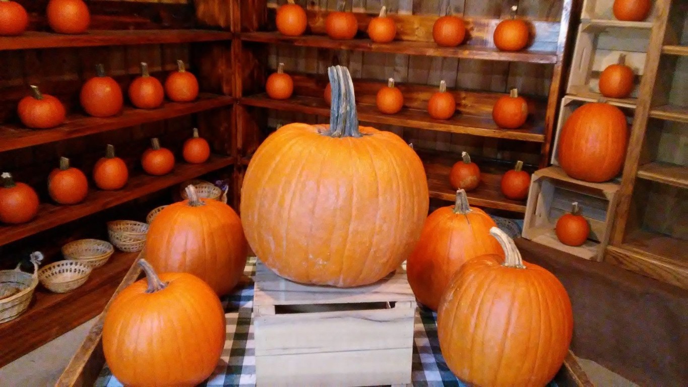 2001 Hawleyton Road Binghamton, NY 13903 - Photo 14 of 50