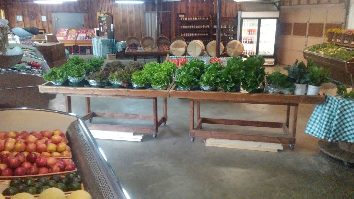 2001 Hawleyton Road Binghamton, NY 13903 - Photo 16 of 50