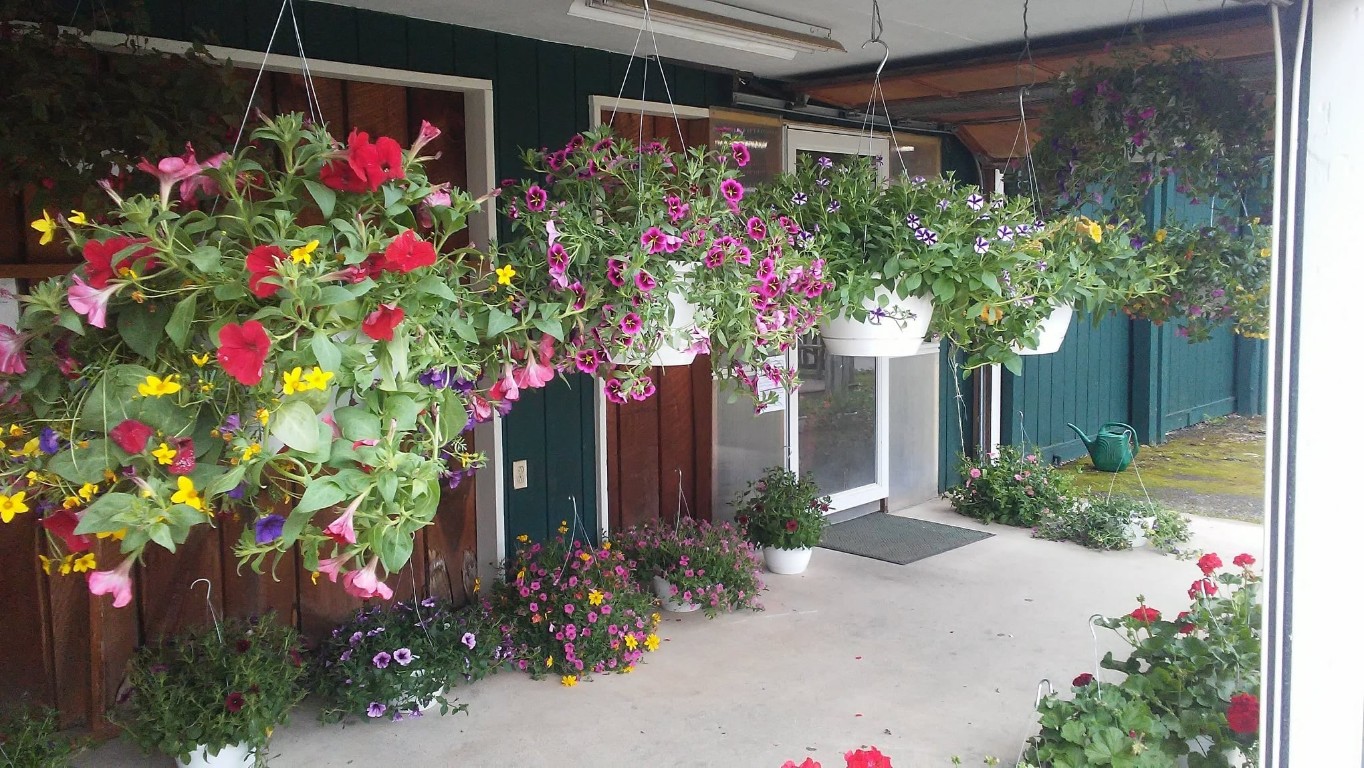 2001 Hawleyton Road Binghamton, NY 13903 - Photo 9 of 50