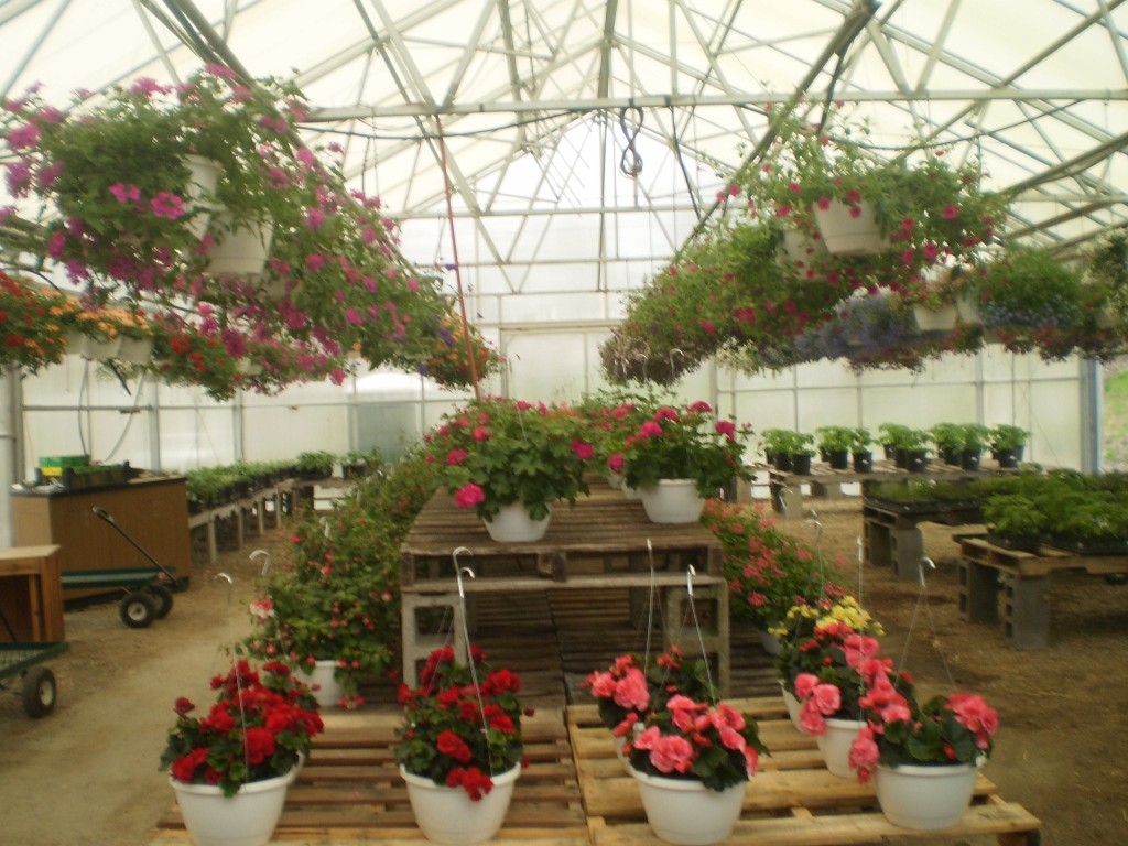 2001 Hawleyton Road Binghamton, NY 13903 - Photo 10 of 50