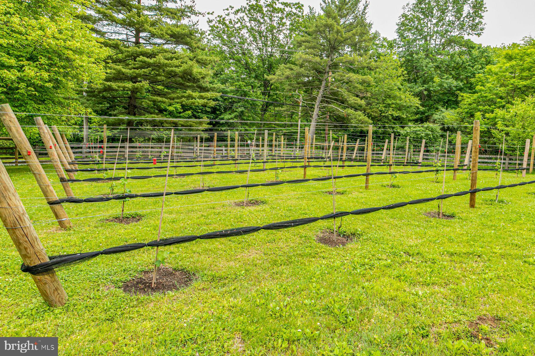 5280 Province Line Road Princeton, NJ 08540 - Photo 55 of 62
