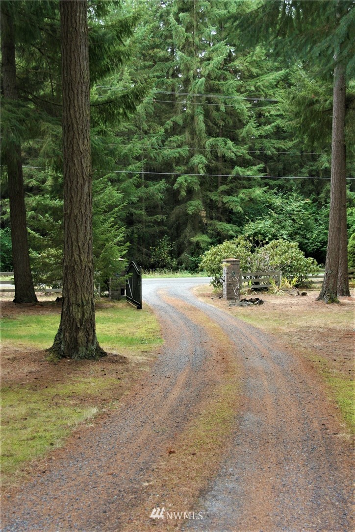 19426 Cook Road Southeast Yelm, WA 98597 - Photo 18 of 24 Gallery Image 18