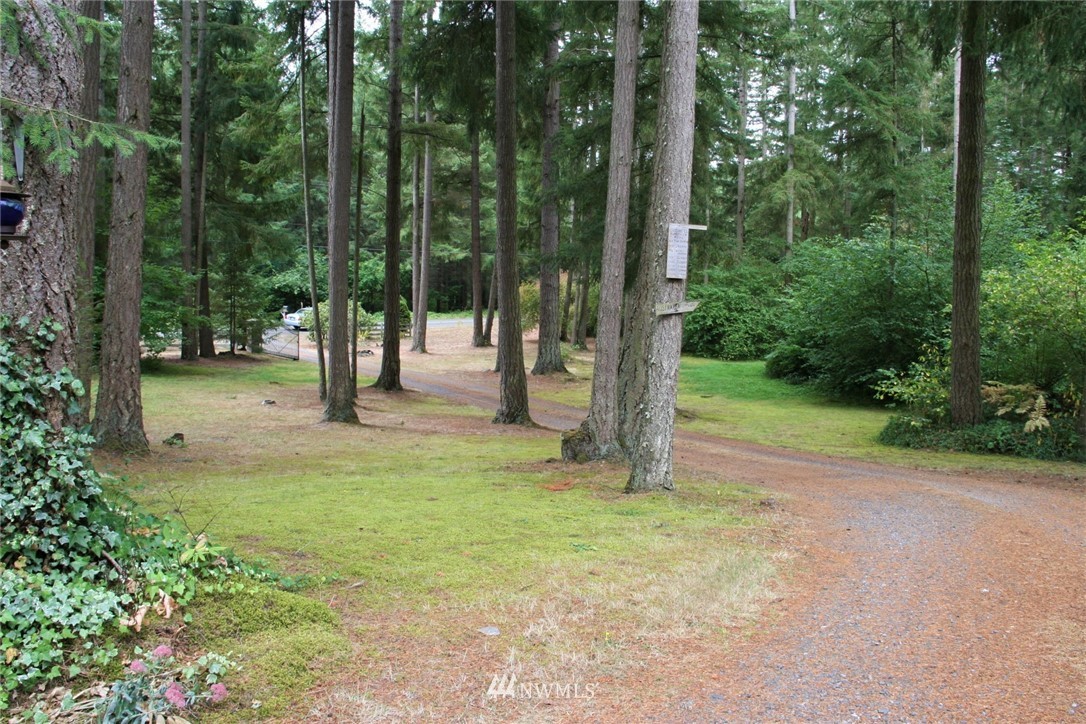 19426 Cook Road Southeast Yelm, WA 98597 - Photo 19 of 24 Gallery Image 19