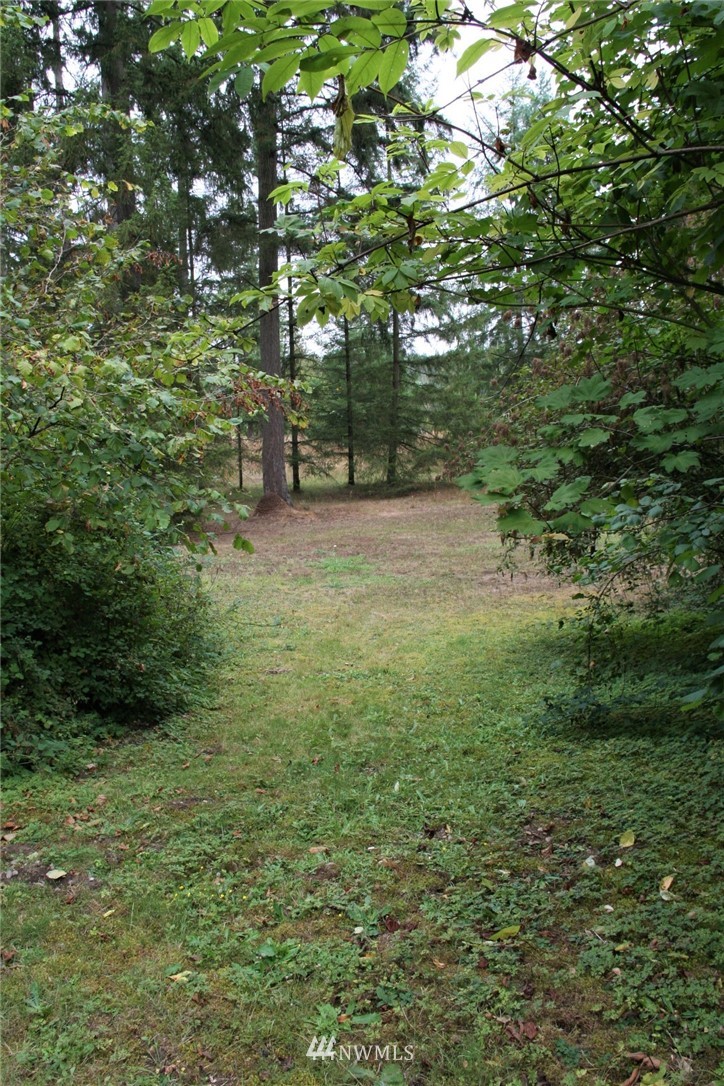19426 Cook Road Southeast Yelm, WA 98597 - Photo 21 of 24 Gallery Image 21
