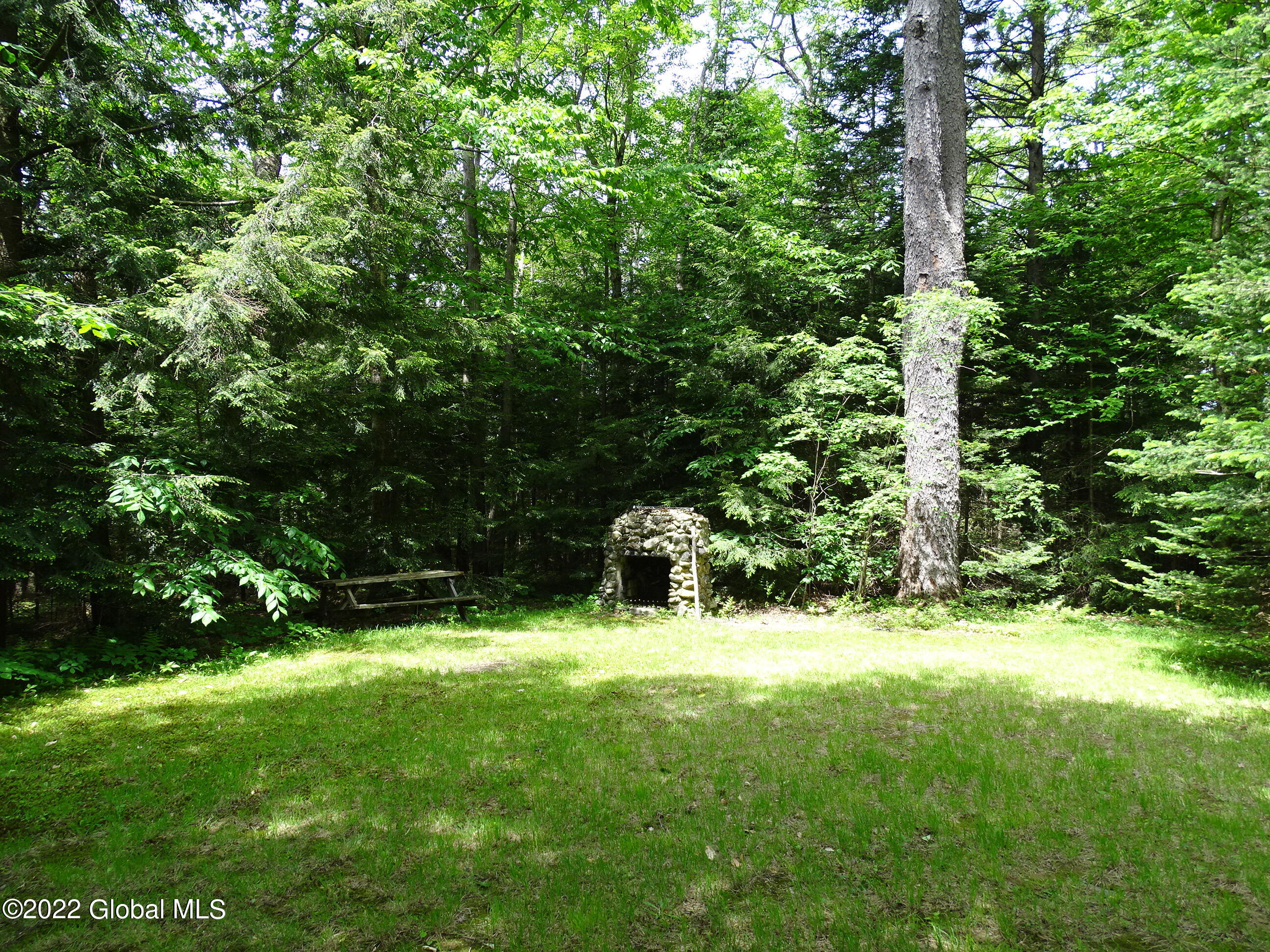 528 Dyken Pond Road Berlin, NY 12138 - Photo 24 of 100 DSC06038