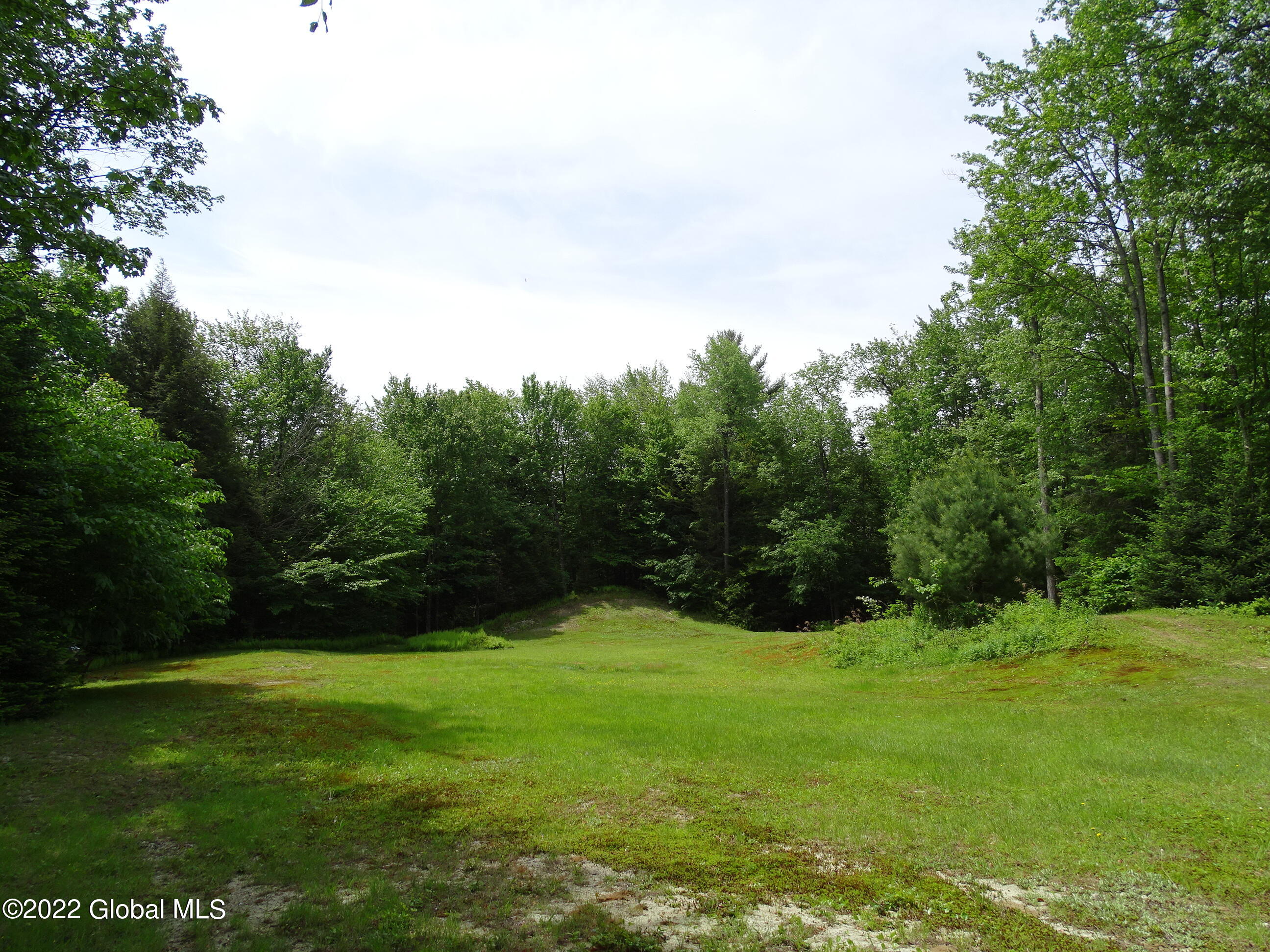 528 Dyken Pond Road Berlin, NY 12138 - Photo 25 of 100 DSC06047
