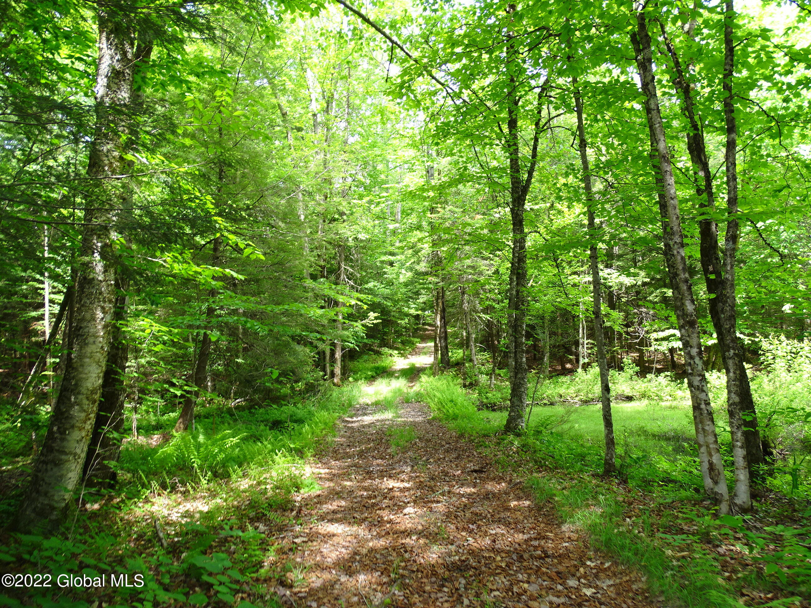 528 Dyken Pond Road Berlin, NY 12138 - Photo 26 of 100 DSC06053